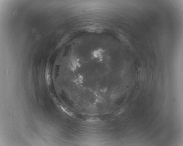 X0000082741154200701261434