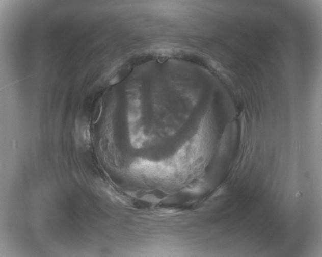 X0000082741155200701261434