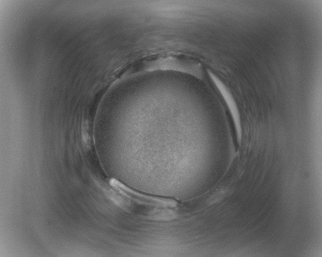 X0000082741156200701261434