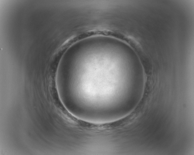 X0000082741159200701261434