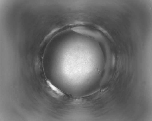 X0000082741160200701261434