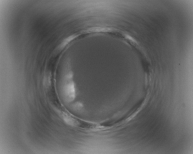 X0000082741161200701261434