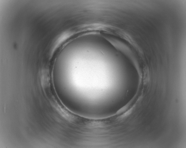 X0000082741164200701261434