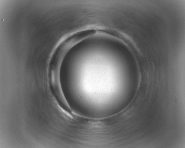 X0000082741168200701261434
