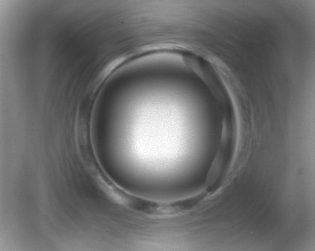 X0000082741177200701261433