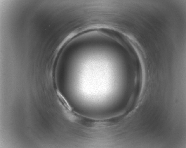 X0000082741181200701261433