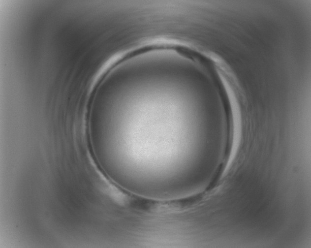 X0000082741183200701261433