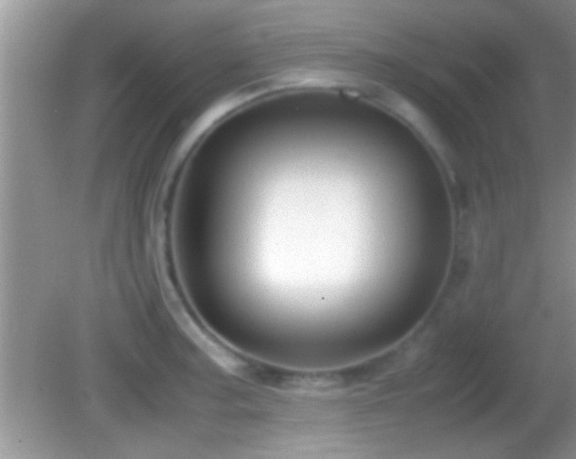 X0000082741187200701261433