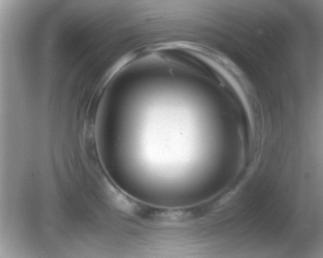 X0000082741193200701261433