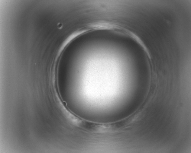 X0000082741195200701261433