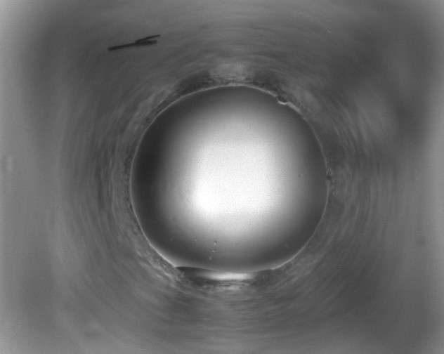 X0000082741201200701261432
