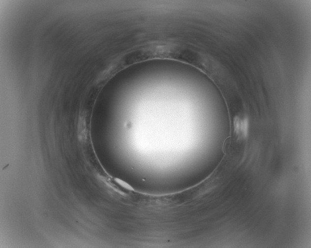 X0000082741203200701261432