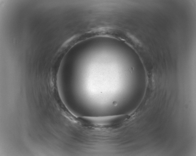 X0000082741206200701261432
