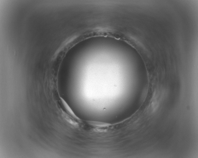 X0000082741207200701261432