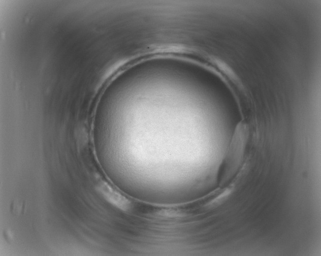 X0000082741212200701261432