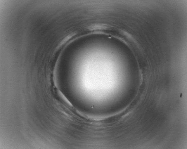 X0000082741217200701261433