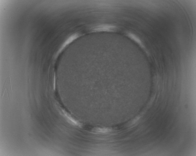 X0000082741219200701261433