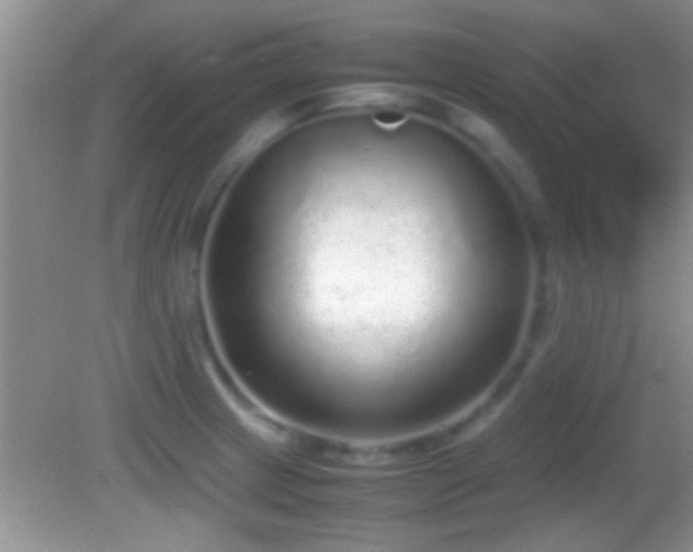 X0000082741233200701261433