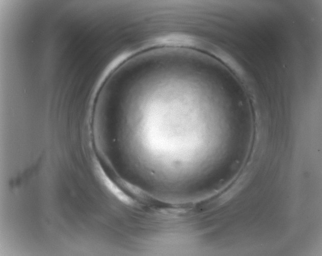 X0000082741248200701261433