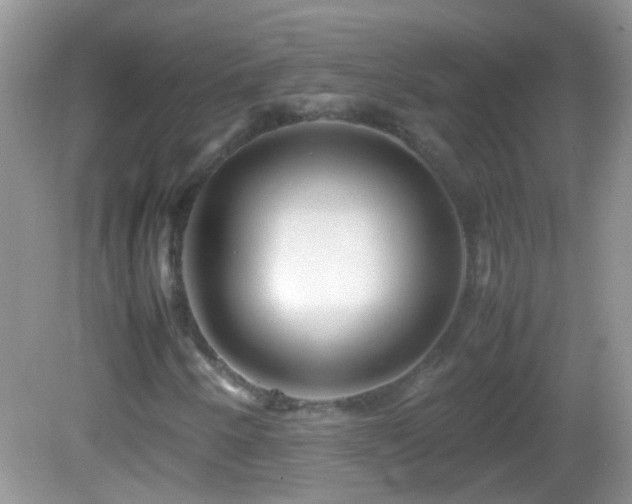 X0000082741250200701261432