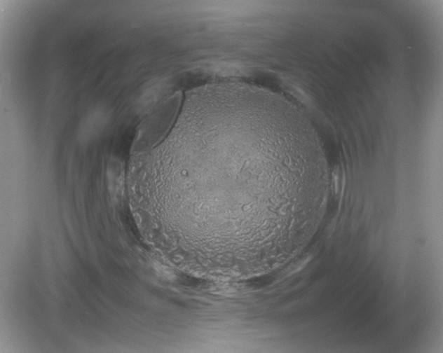 X0000082741251200701261432