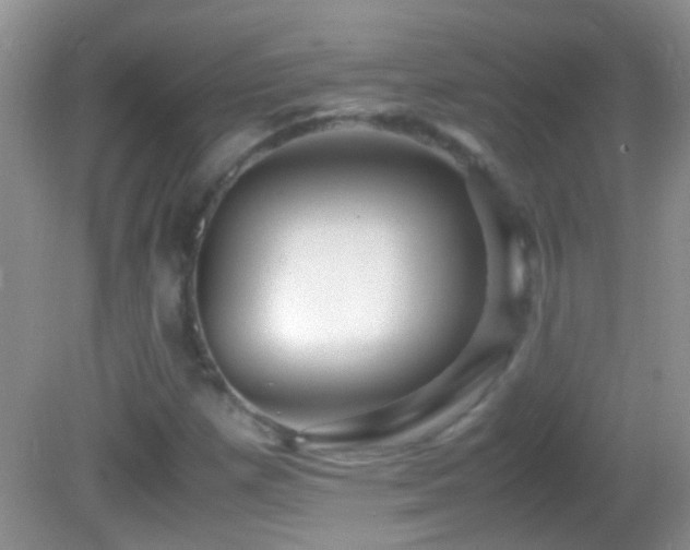 X0000082741257200701261432