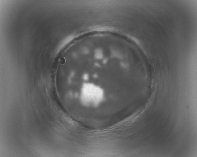 X0000082741263200701261432