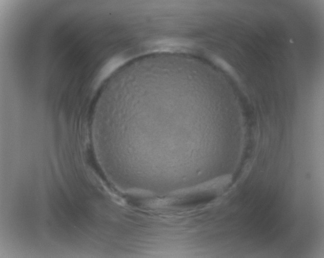 X0000082741267200701261432