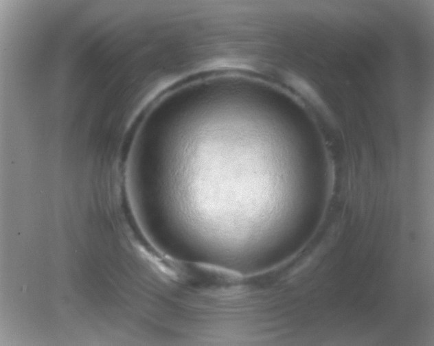 X0000082741268200701261432