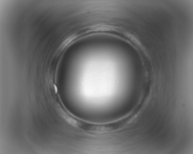 X0000082741273200701261432