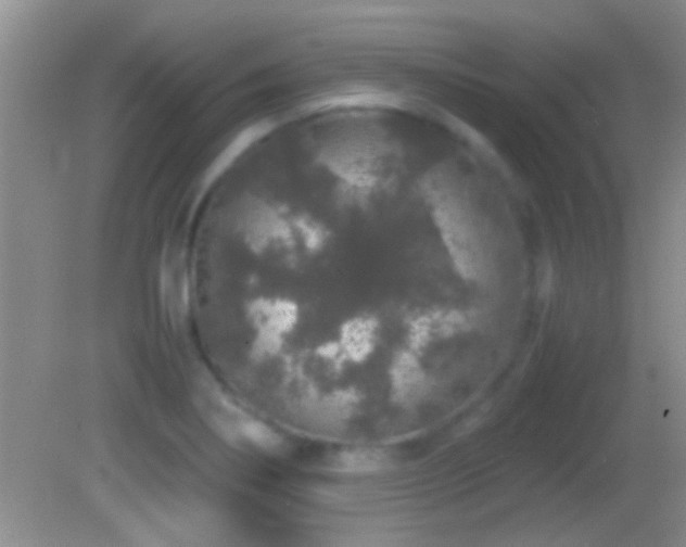 X0000082741274200701261432