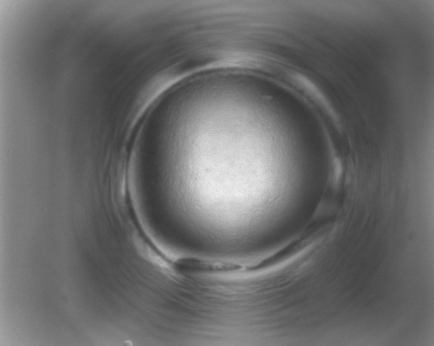 X0000082741276200701261432