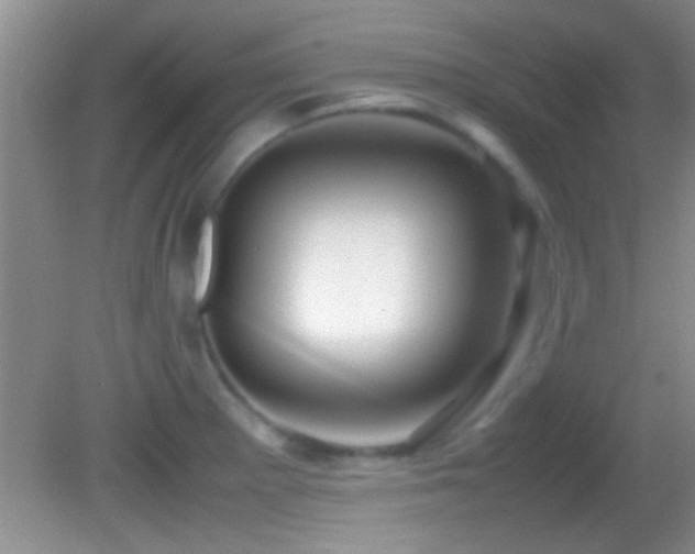 X0000082741281200701261432