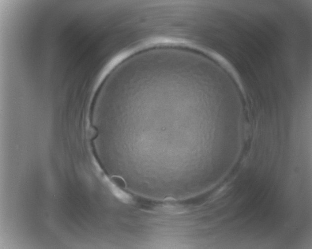 X0000082741287200701261432
