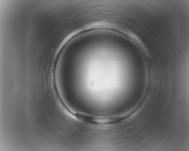 X0000082741288200701261432
