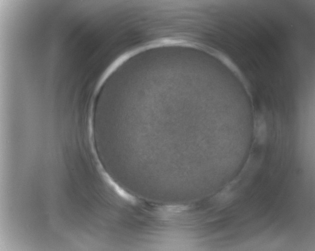 X0000082741294200701261431