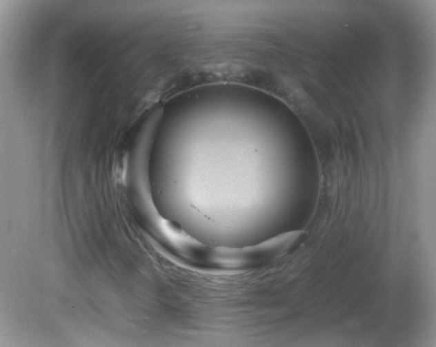 X0000082741298200701261431