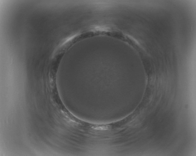 X0000082741303200701261431