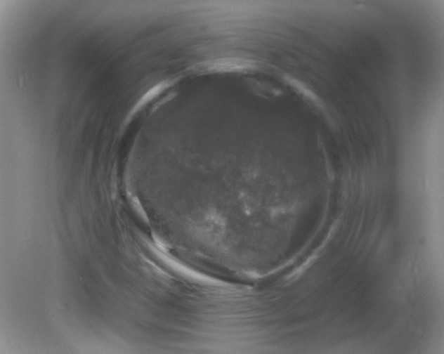 X0000082741306200701261431