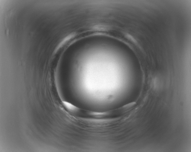 X0000082741307200701261431