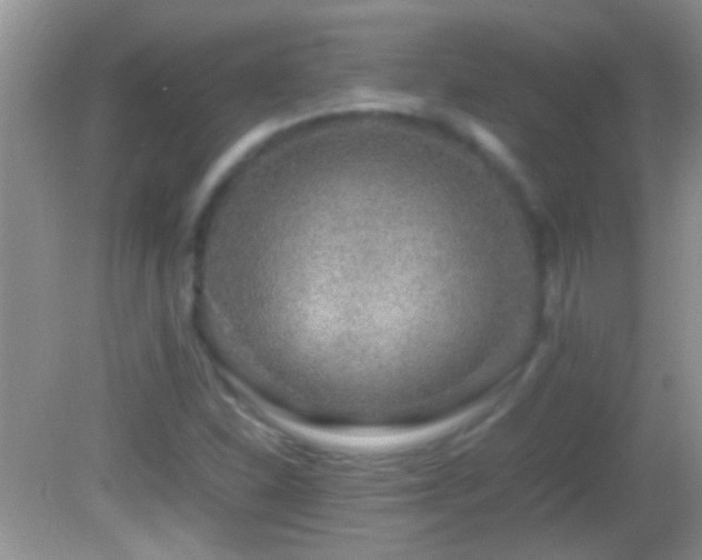 X0000082741310200701261431