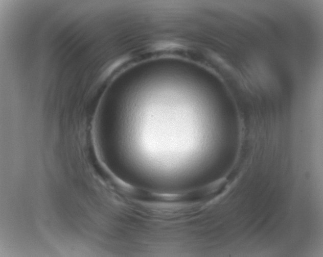 X0000082741313200701261431