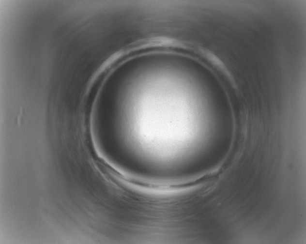 X0000082741318200701261431