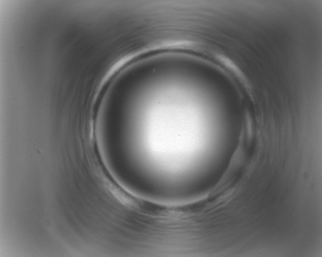 X0000082741324200701261431