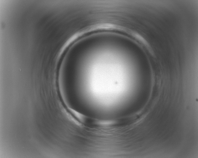 X0000082741326200701261431