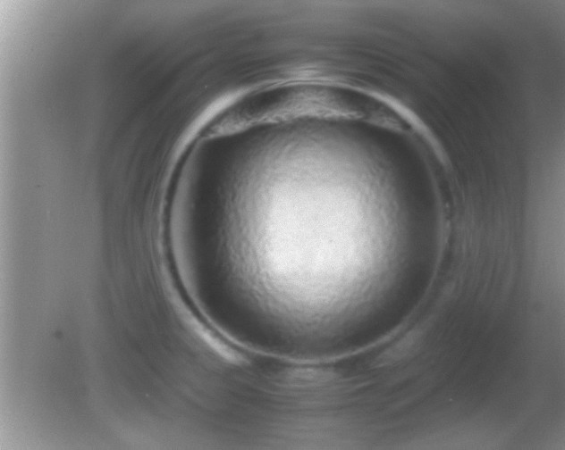 X0000082741333200701261431