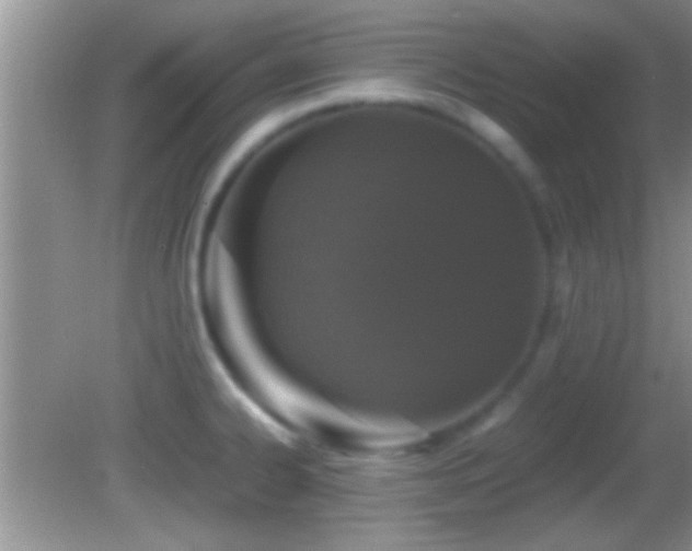 X0000082741334200701261431