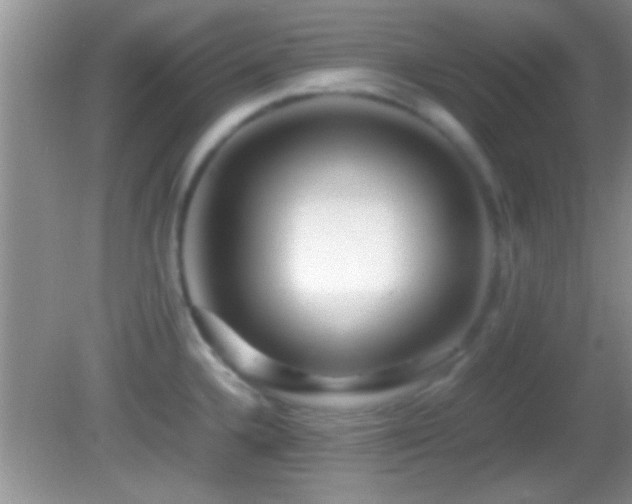 X0000082741336200701261431