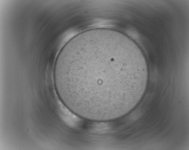 X0000082741338200701261431