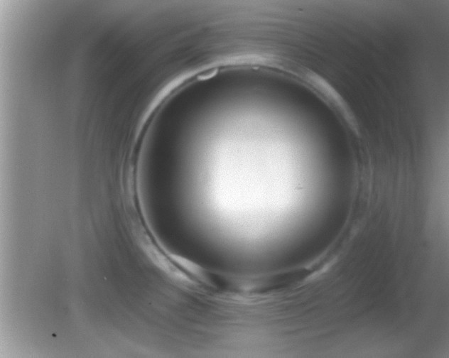 X0000082741340200701261431